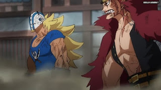 ワンピースアニメ 1028話 | ONE PIECE Episode 1028