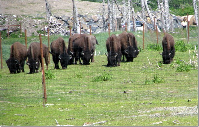 AK. Wildlife Consv. Center