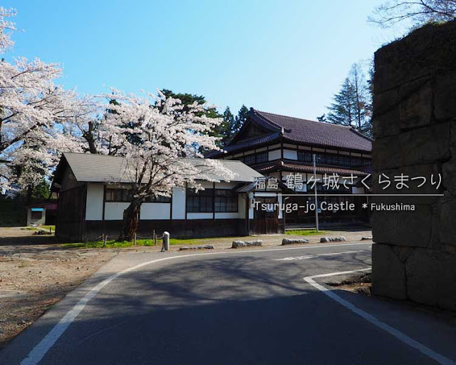 鶴ヶ城の桜がすごい！(2) 西出丸エリア