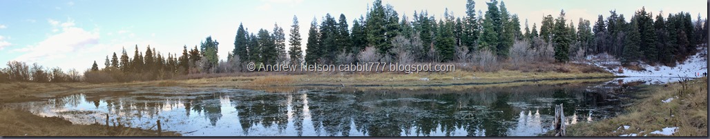 Green Pond 2