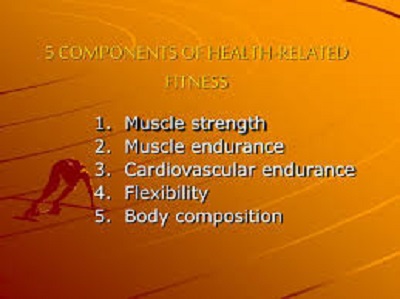 5 components of Fitness