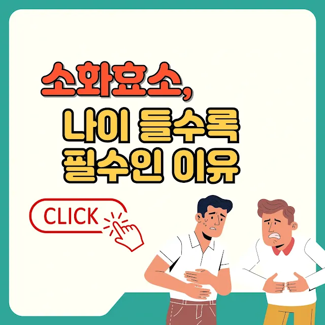 소화 효소, 나이 들수록 필수인 이유 텍스트와 일러스트 이미지
