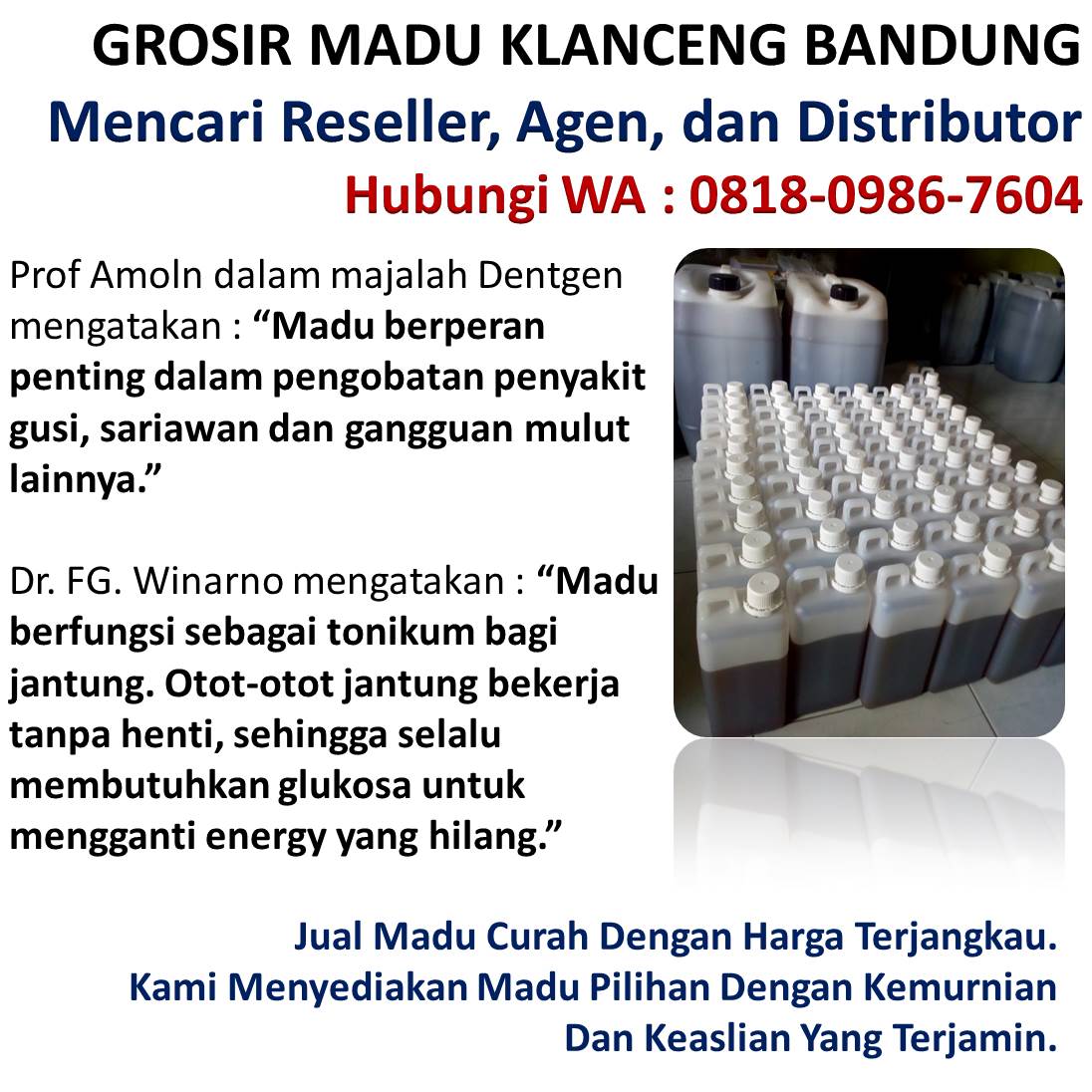 harga madu klanceng 2019