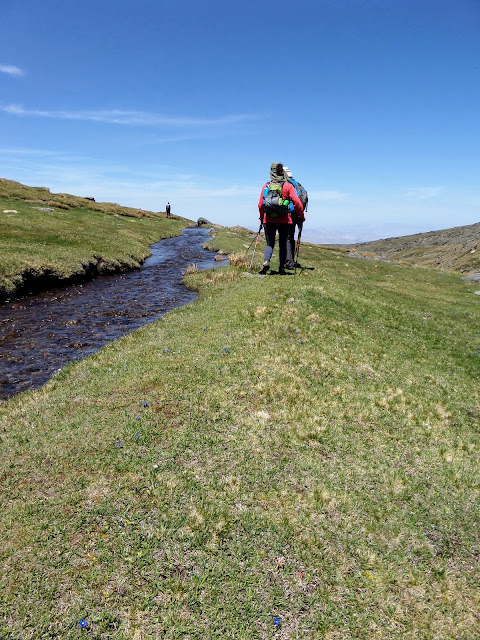 Acequia de Papeles, lavaderos de la Reina