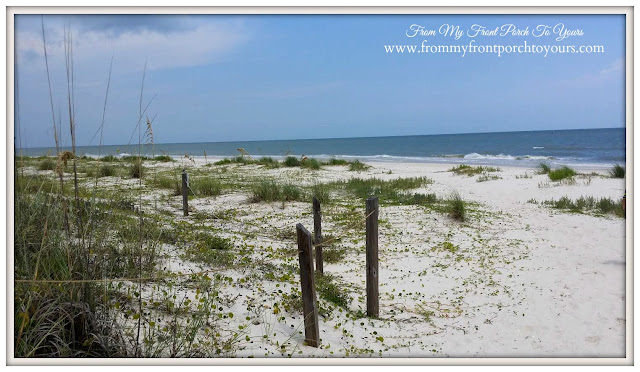 St. George Island, Fl-The Forgotten Coast- From My Front Porch To Yours