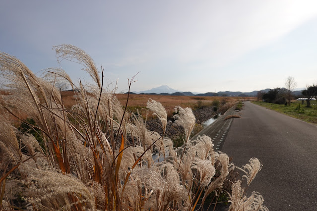 島根県安来市島田町 農道からの眺望