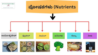 KSEEB Solutions For Class 6 Science Chapter 2 Components Of Food In Kannada