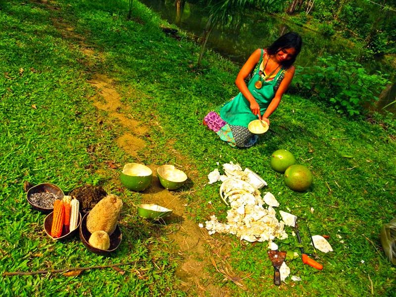 http://www.jardimdomundo.com/de-uma-carreira-promissora-para-uma-vida-simples-em-meio-a-natureza/