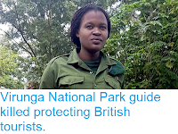 https://sciencythoughts.blogspot.com/2018/05/virunga-national-park-guide-killed.html