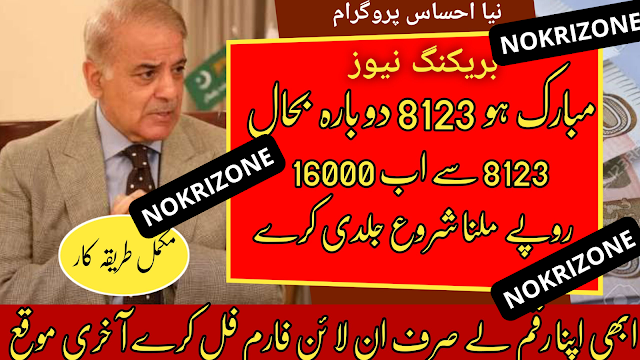 8123 New Form Start Now By Shahbaz Shareef 2022