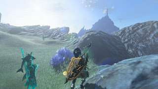 with Shadow Sidon looking at the tower on Mount Lanayru from Zora's Domain