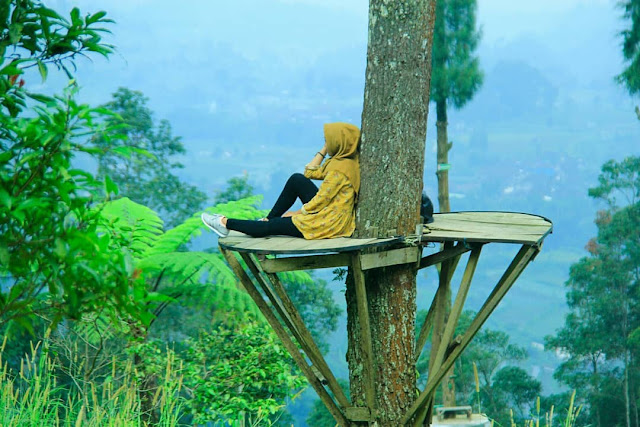 Tiket Masuk Dan Lokasi Bukit Grenden Pakis Magelang