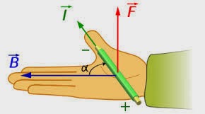 RYNsite Induksi  magnetik  Hukum  Laplace