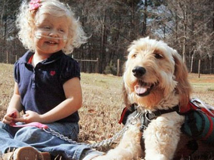 Anjo da guarda: menina de 3 anos se mantém viva com a ajuda de Cachorro