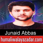 https://humaliwalaazadar.blogspot.com/2019/08/junaid-abbas-nohay-2020.html