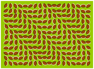 [optical_illusions_07.gif]