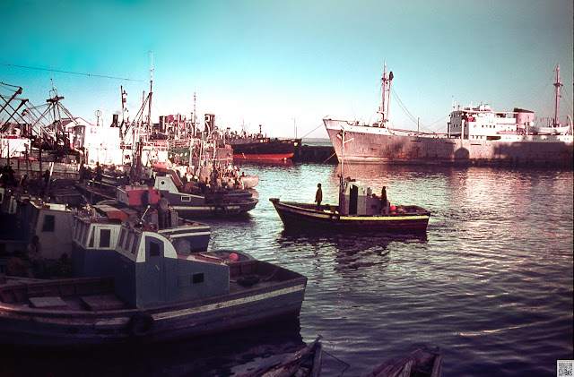 Doca da Capitania de Lourenço Marques na segunda metade da década de 1960  MMG_K_058 Fotografia de Manuel Augusto Martins Gomes. Não usar fotografia sem referência ao seu autor Manuel Augusto Martins Gomes e sem link para as páginas:  Beacons: https://beacons.ai/manuelamartinsgomesmemorias Blogger: https://manuelamartinsgomes.blogspot.com/ Instagram: @manuelamartinsgomesmemorias Toda a informação adicional é bem vinda. Poderão contactar-me através do endereço de email: manuelamgomes20@gmail.com #lorencomarques #maputo #moçambique #memoriasdemoçambique #coastphotography #manuelamartinsgomesmemorias