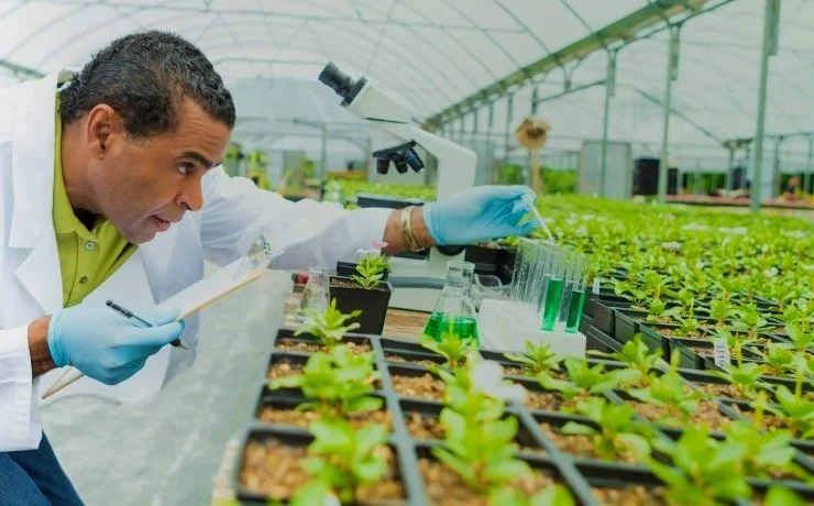 Agricultural Biotechnology