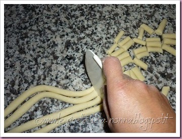Cavatelli (o cicatielli) - ricetta base (6)