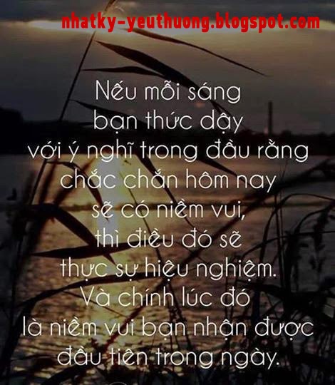  Giay dan tuong 