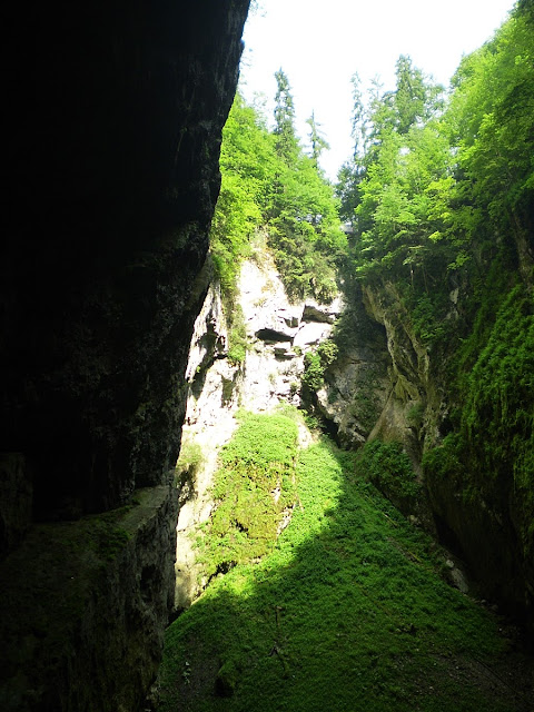 Macocha Abyss, Moravian Karst, Czech Republic