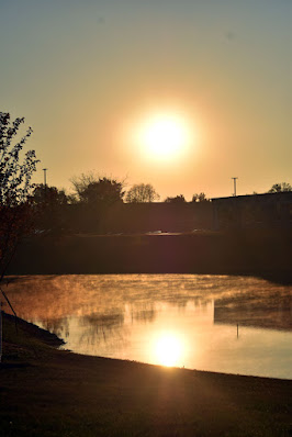 C Avenue Pond