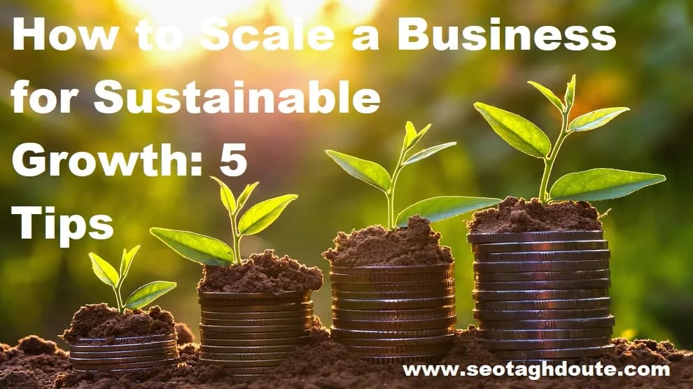 How to Scale a Business for Sustainable Growth 5 Tips
