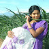 Swathika Photos in Saree