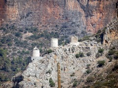 IMG_7299