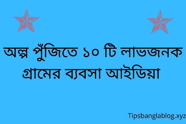 অল্প পুঁজিতে ১০ টি লাভজনক গ্রামের ব্যবসা আইডিয়া