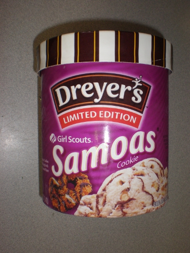 Dryers Ice Cream. ice cream—including a