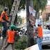 ALCALDÍA DE SAN CRISTÓBAL DISPONE RETIRO DE PROPAGANDA EN AVENIDA CONSTITUCIÓN   