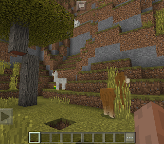 Gambar Minecraft Yang Belum Diwarnai
