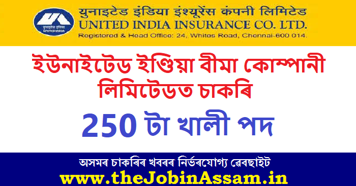 United India Insurance Company Limited Recruitment 2024 - 250 Administrative Officer Posts