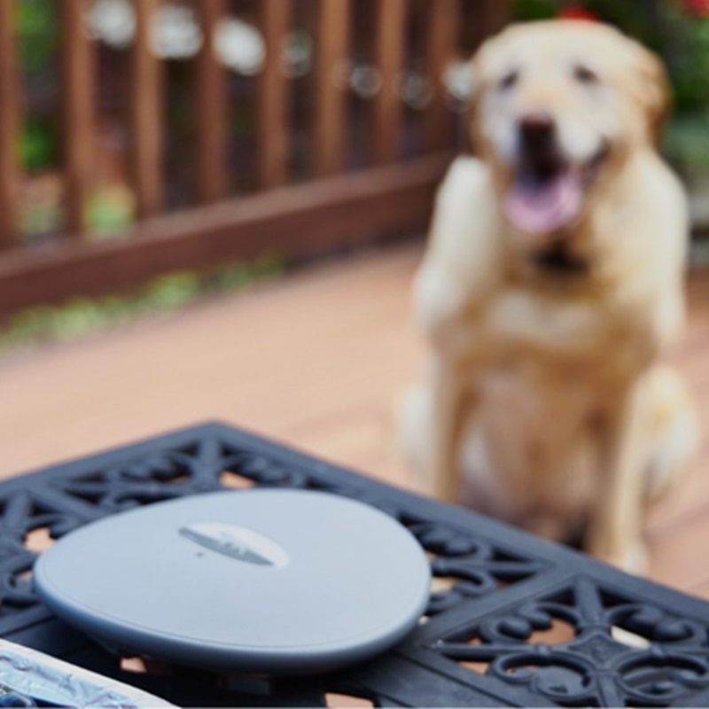 DogWatch MB-1 - Wireless Indoor or Outdoor Rechargeable Pet Barrier