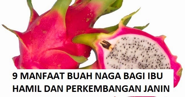 20 Manfaat Buah Naga Untuk Ibu Hamil Muda dan Janin