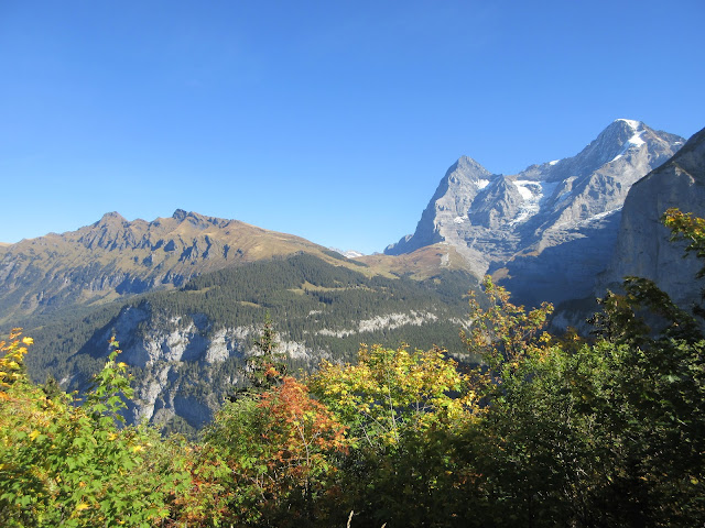 Grütschalp, Mürren, and Gimmelwald Trail The Wandering Juan