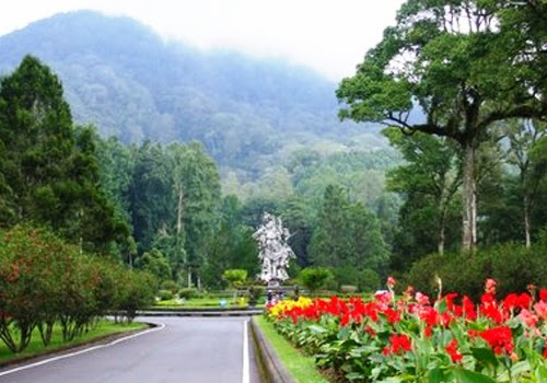 Kebun Raya Eka Karya Bedugul Salah Satu Objek Wisata Alam di Bali