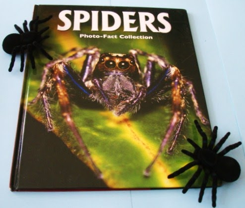 Learning Ideas Grades K 8 Spider Book And Craft Activity