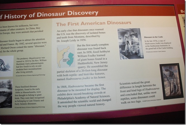 11-12-12 B Museum Of Natural History 014