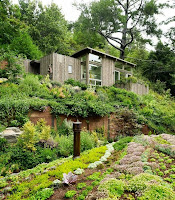 Green Garden Vacation House Design with Rooftop Garden on California