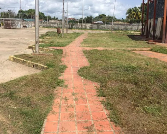 GESTIÓN-ELORZA: Limpieza y mantenimiento de las áreas verdes del Polideportivo “Candelario Morales”.