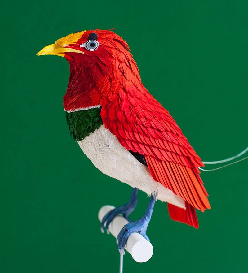 diana-beltran-herrera-birds-19