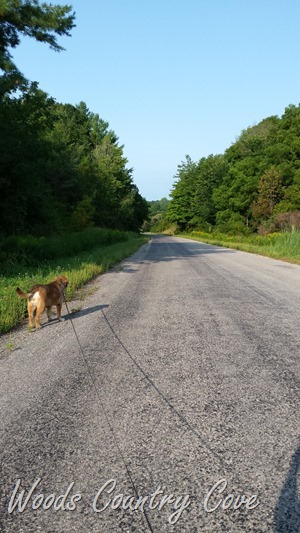 20150828_090628