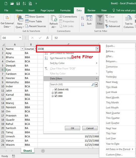 Filters-In-Excel-Date-Filter