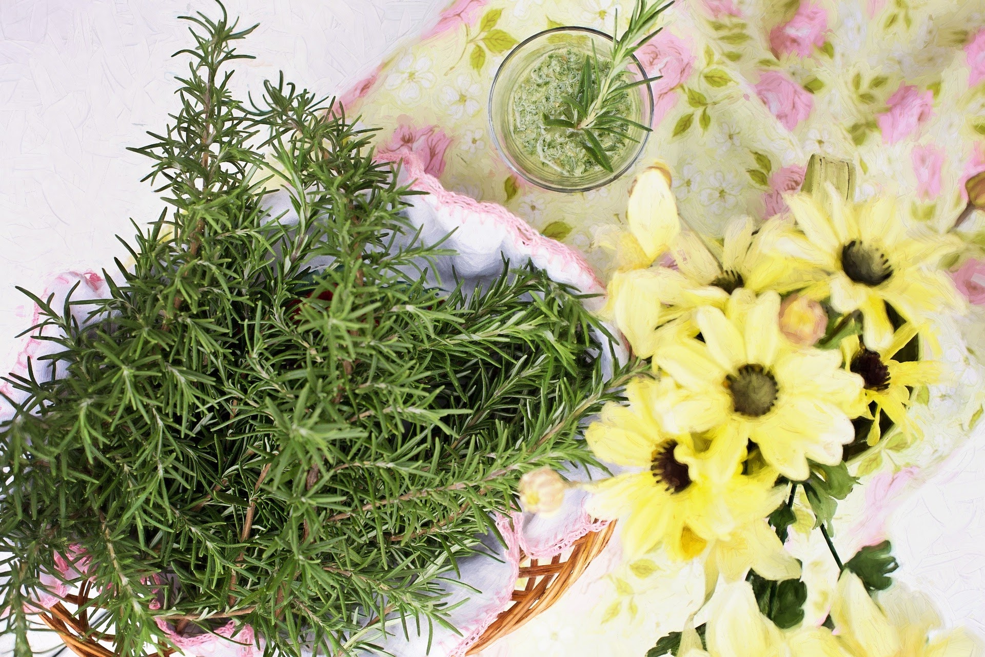 Beyond its culinary prowess, rosemary harbors a treasure trove of health benefits that span the domains of mind, body, and hair. Join us on this herbal odyssey as we unravel the mysteries of rosemary, discovering its enchanting powers for a radiant and rejuvenated you.