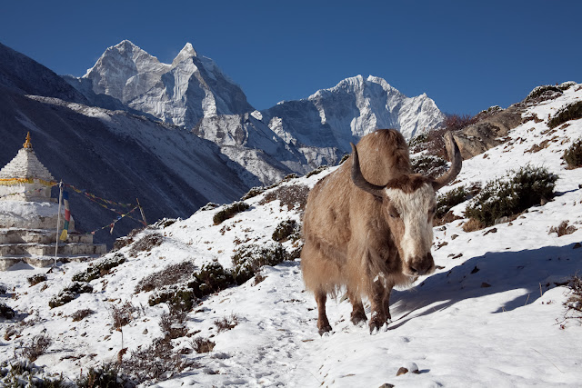 Winter Trekking in Nepal