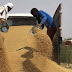 India larang eksport gandum, cetus kebimbangan berlaku krisis bekalan makanan