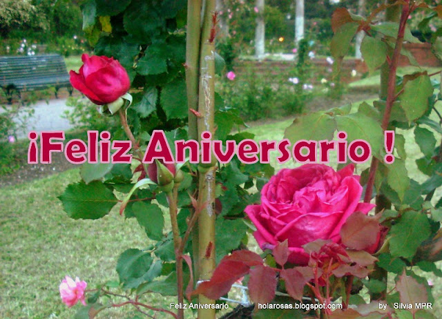 Feliz Aniversario  Fotos Postales de Rosas Rojas Naturales Regalos virtuales 