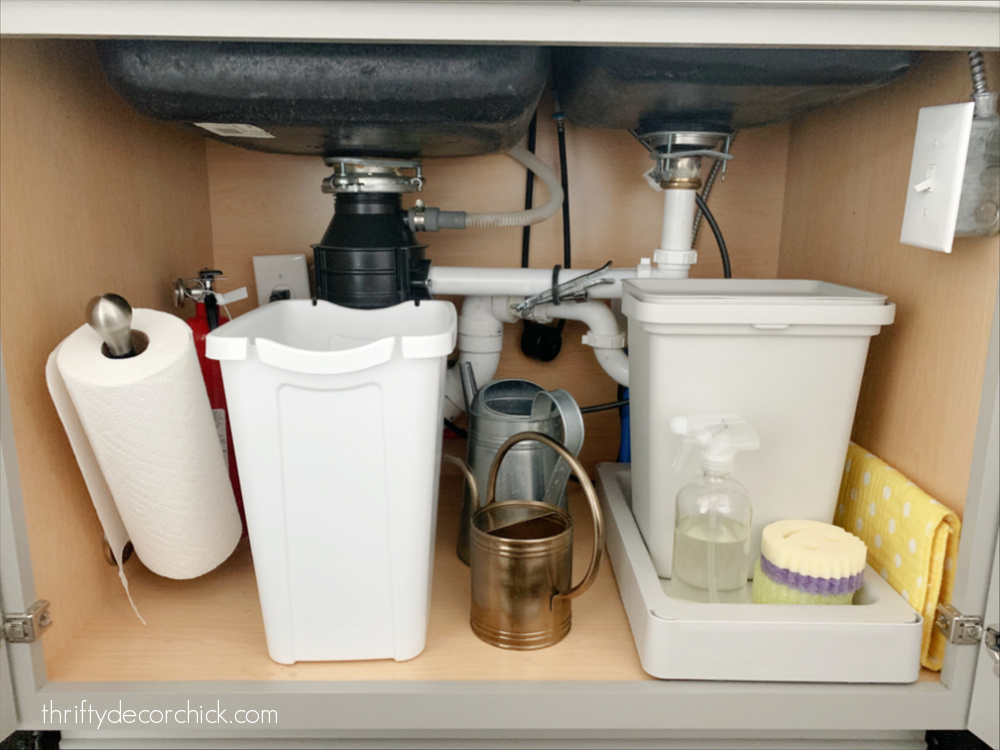 organized under kitchen sink
